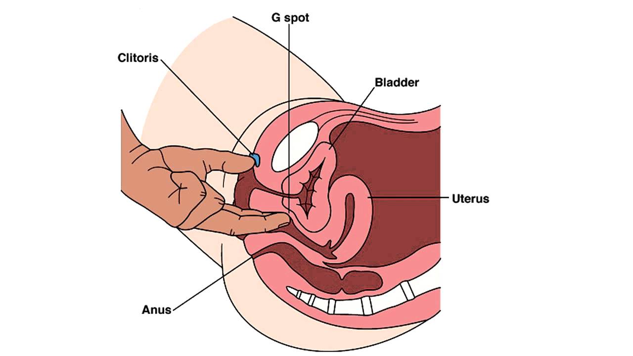 Speed reccomend Anal finger method